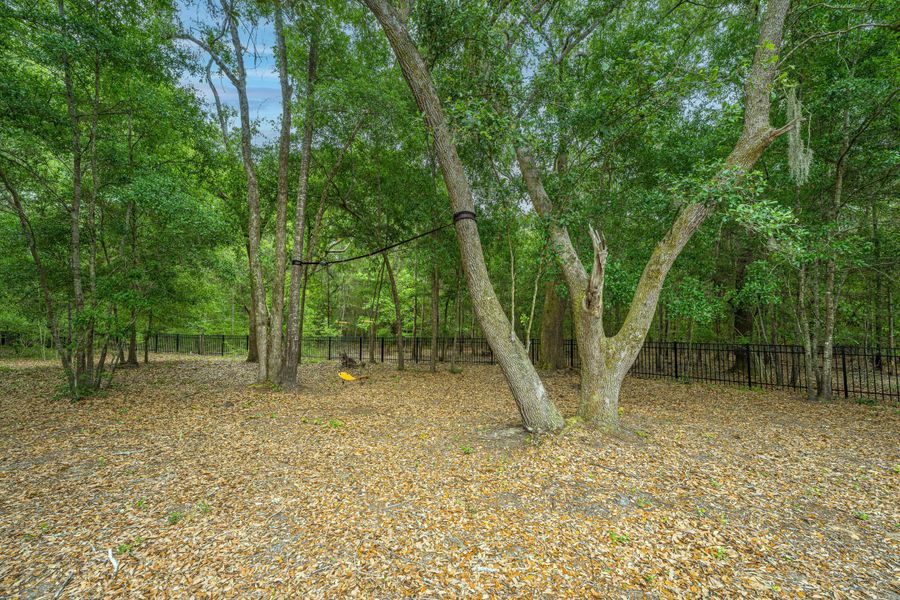 Natural landscape and outdoor views near Sea Island Preserve in Johns Island (Image 90).