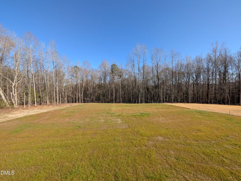 PXL_20251219_181337273