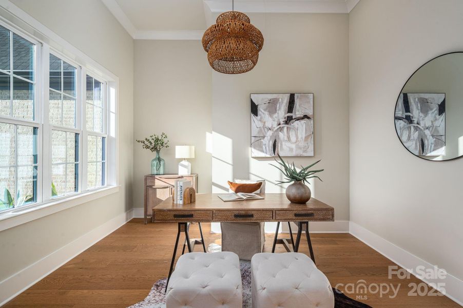 Furnished interior view inside a new home in , Belmont (Image 7).
