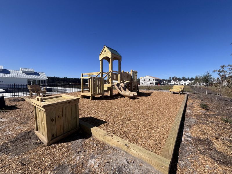 Community amenities in Lindera Preserve at Cane Bay Plantation: Townhomes, Summerville (Image 19).