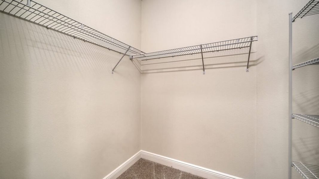 Spacious, unfurnished interior of a new home in Palm Grove, Lakewood Ranch (Image 27).