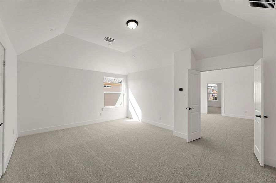 23_24. 953 Gold Finch - Media