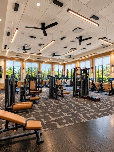 Gym Gym