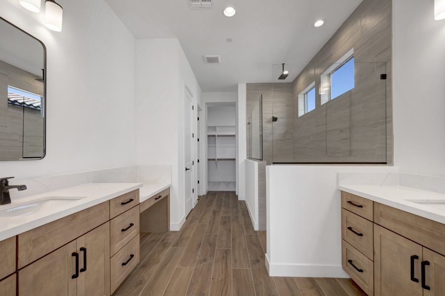 Owner's Bath