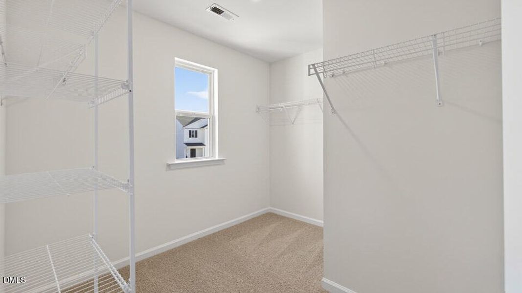 229 Palomino Wy-32 229 Palomino Wy-32