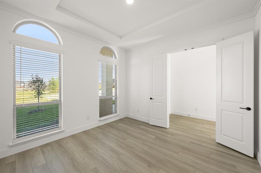 2100 Rockhopper- Study-1 2100 Rockhopper- Study-1