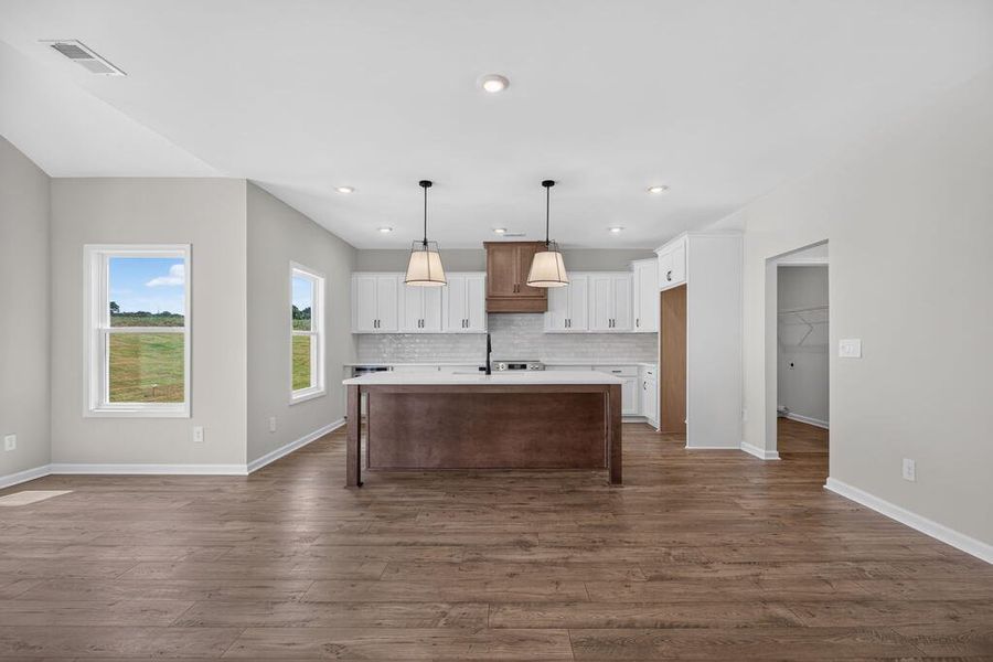 Furnished interior view inside a new home in Blackwelder Bluff, Bowdon (Image 12).