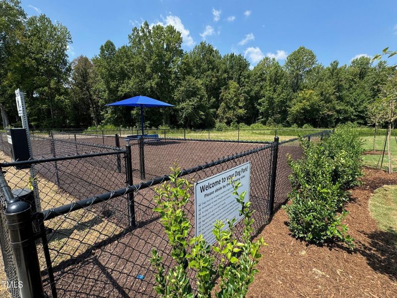 Community Dog Park