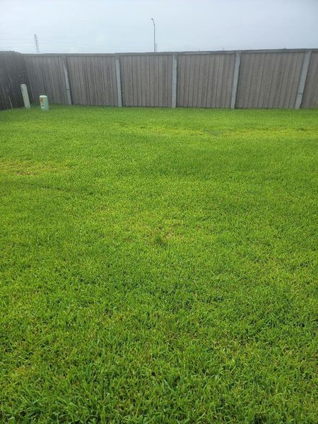 Another side of the back yard Another side of the back yard