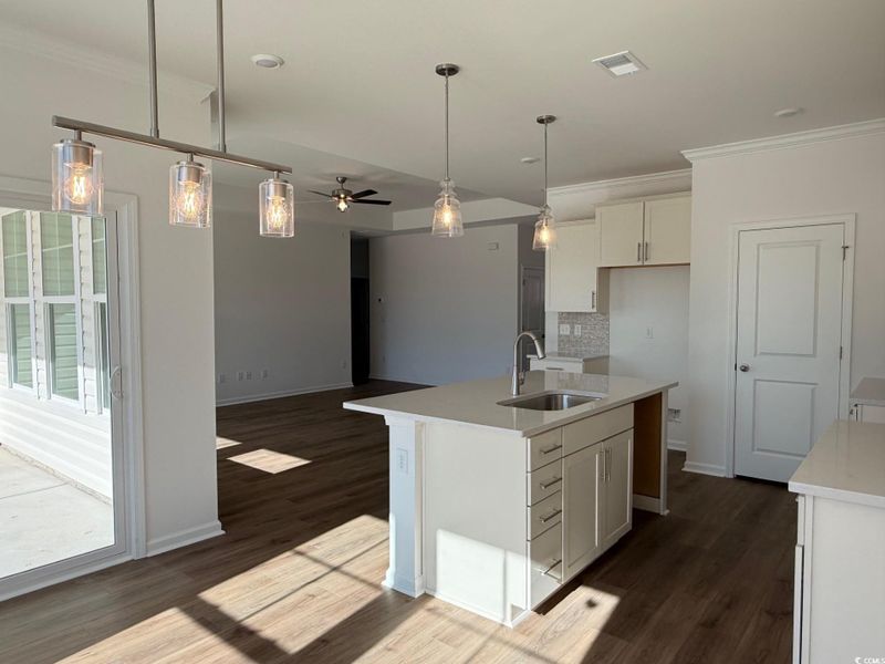 Furnished interior view inside a new home in Oak Grove, Conway (Image 3).