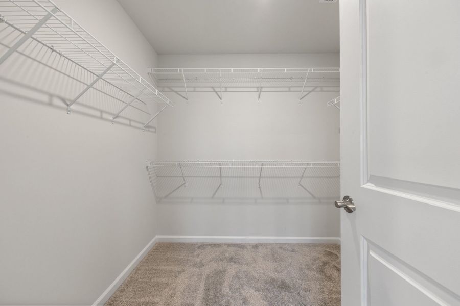 Spacious, unfurnished interior of a new home in Everton, Durham (Image 43).