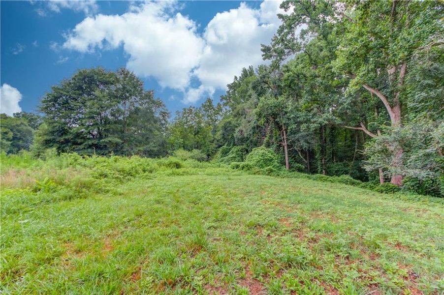 Natural landscape and outdoor views near in Martin (Image 40). Natural landscape and outdoor views near in Martin (Image 40).