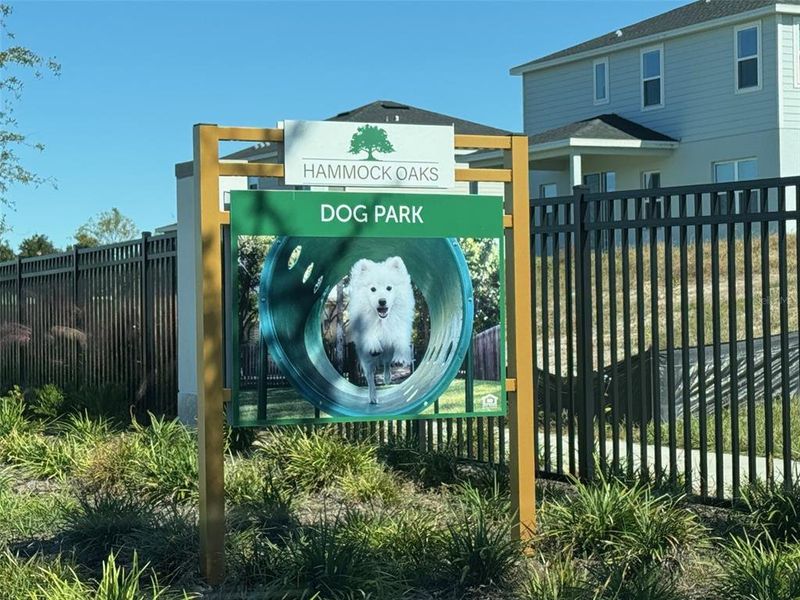 Community amenities in , Lady Lake (Image 19).