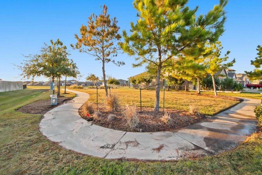 Natural landscape and outdoor views near Granger Pines in Conroe (Image 27). Natural landscape and outdoor views near Granger Pines in Conroe (Image 27).