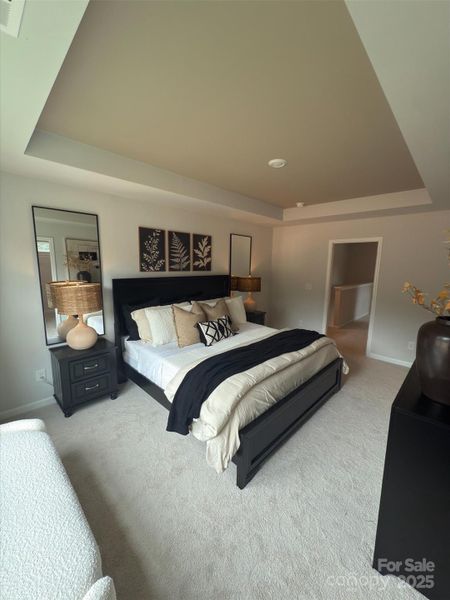 *Representative Photo*