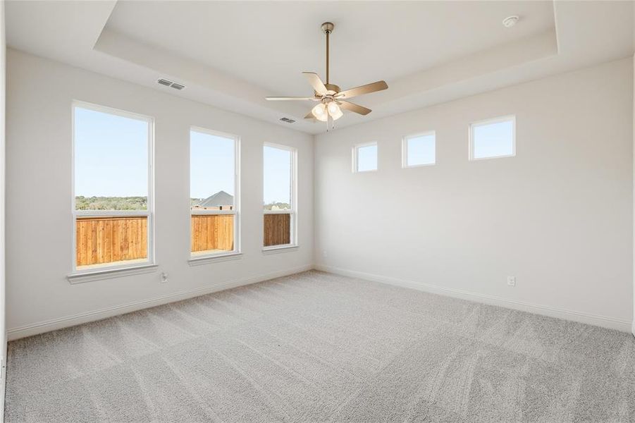 Spare room with a tray ceiling, carpet floors, and healthy amount of natural light Spare room with a tray ceiling, carpet floors, and healthy amount of natural light