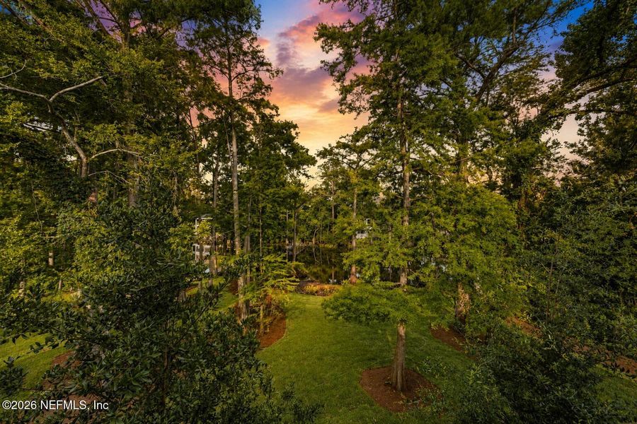 Natural landscape and outdoor views near  in Jacksonville (Image 36).