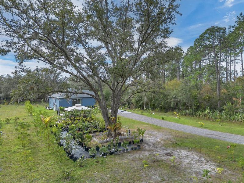 Natural landscape and outdoor views near  in St. Cloud (Image 24).