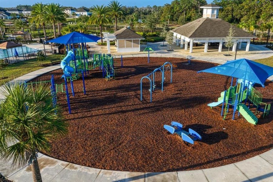 Community amenities in , Wesley Chapel (Image 56).