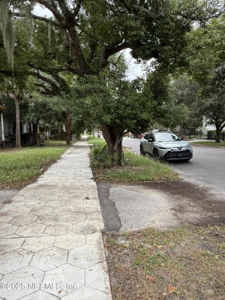 Natural landscape and outdoor views near  in Jacksonville (Image 38).