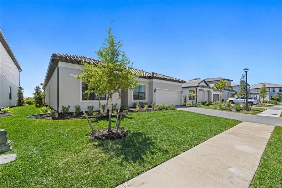 Front exterior of a new home in , Lakewood Ranch, FL, highlighting curb appeal (Image 22). Front exterior of a new home in , Lakewood Ranch, FL, highlighting curb appeal (Image 22).