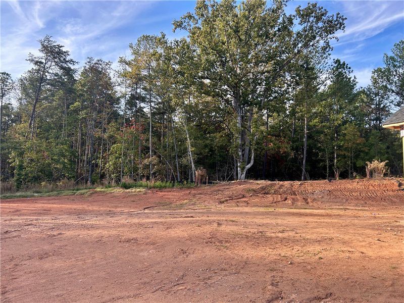 large level yard large level yard