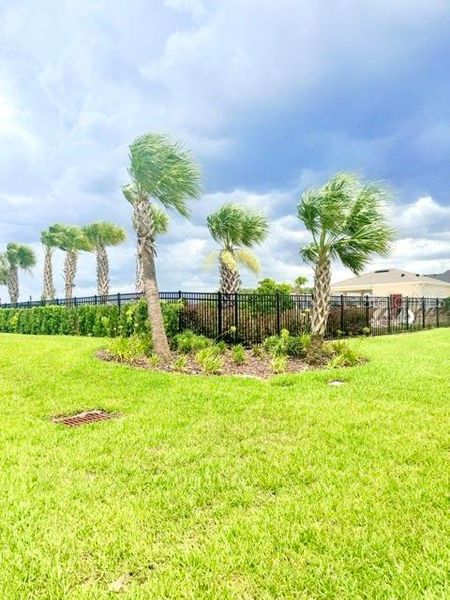 Natural landscape and outdoor views near  in Winter Haven (Image 30).