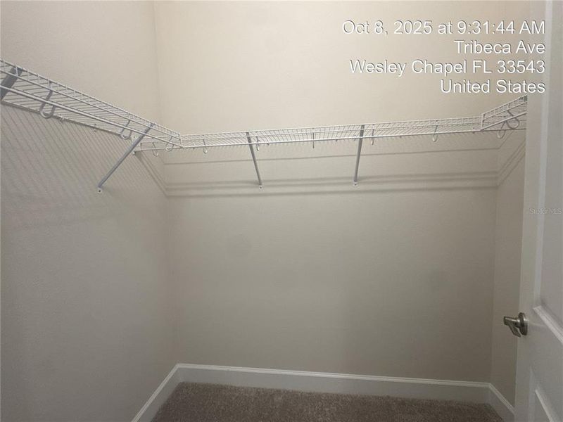 Spacious, unfurnished interior of a new home in Valencia Ridge, Wesley Chapel (Image 27).