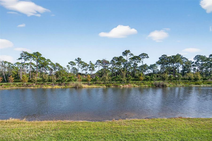Natural landscape and outdoor views near in Stuart (Image 34). Natural landscape and outdoor views near in Stuart (Image 34).