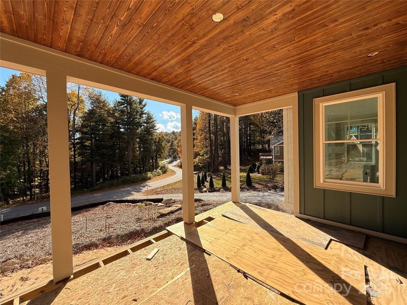 Exterior details and patio area of a home in , Flat Rock (Image 6).