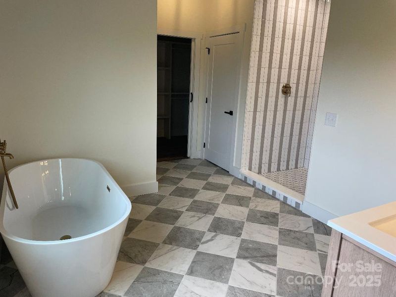 Primary Bath - tub - shower - closet