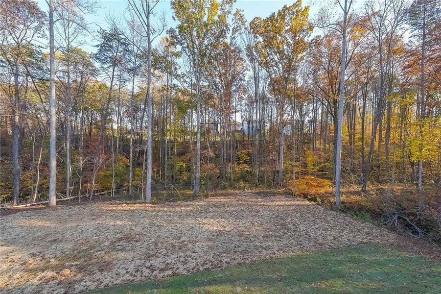 Natural landscape and outdoor views near  in Dawsonville (Image 30).