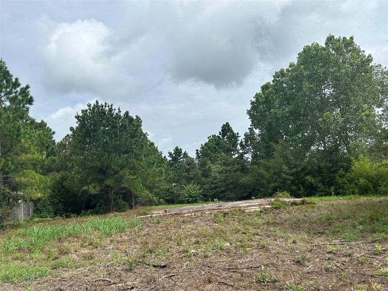 Natural landscape and outdoor views near  in Paige (Image 5).
