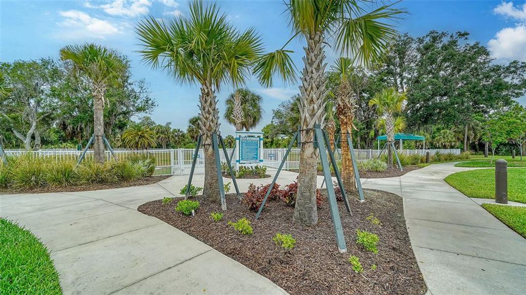 Community amenities in , Sarasota (Image 66).