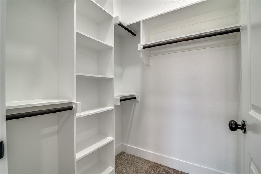 Spacious closet featuring carpet