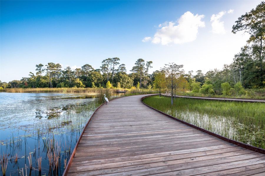 Memorial Park in Houston is a 1,500-acre urban park offering walking and running trails, picnic areas, a golf course, and the Clay Family Eastern Glades for relaxation. It is one of the largest municipal parks in the U.S., located near downtown, and features abundant green spaces and a variety of wildlife. While general access is free, certain facilities like the golf course and swimming pool have separate fees. Memorial Park in Houston is a 1,500-acre urban park offering walking and running trails, picnic areas, a golf course, and the Clay Family Eastern Glades for relaxation. It is one of the largest municipal parks in the U.S., located near downtown, and features abundant green spaces and a variety of wildlife. While general access is free, certain facilities like the golf course and swimming pool have separate fees.