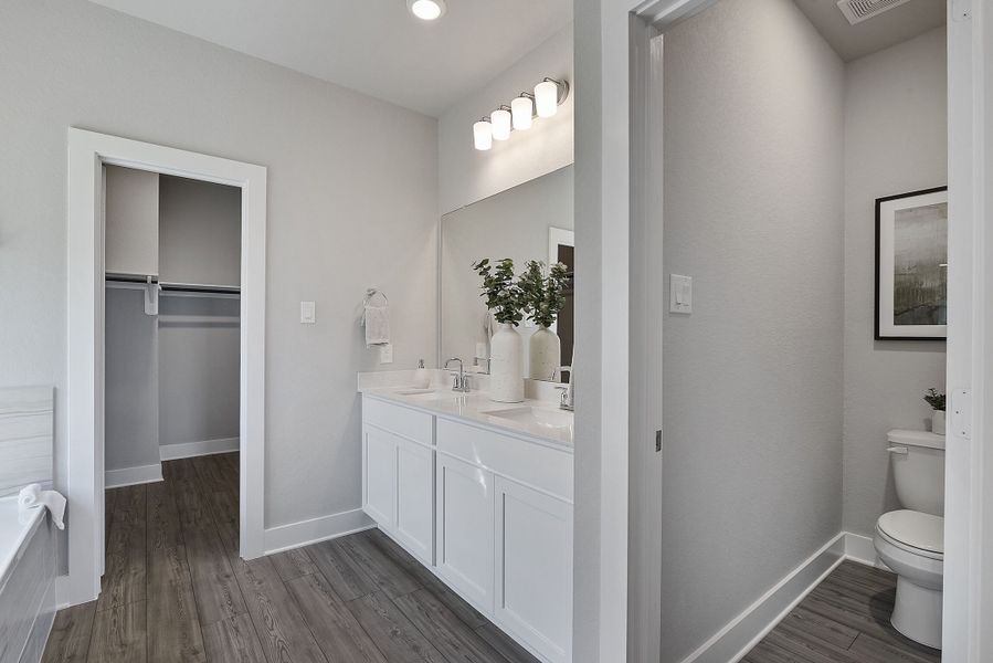 Owner's Bathroom