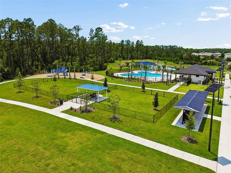Community amenities in Deerbrook, Land O' Lakes (Image 69).
