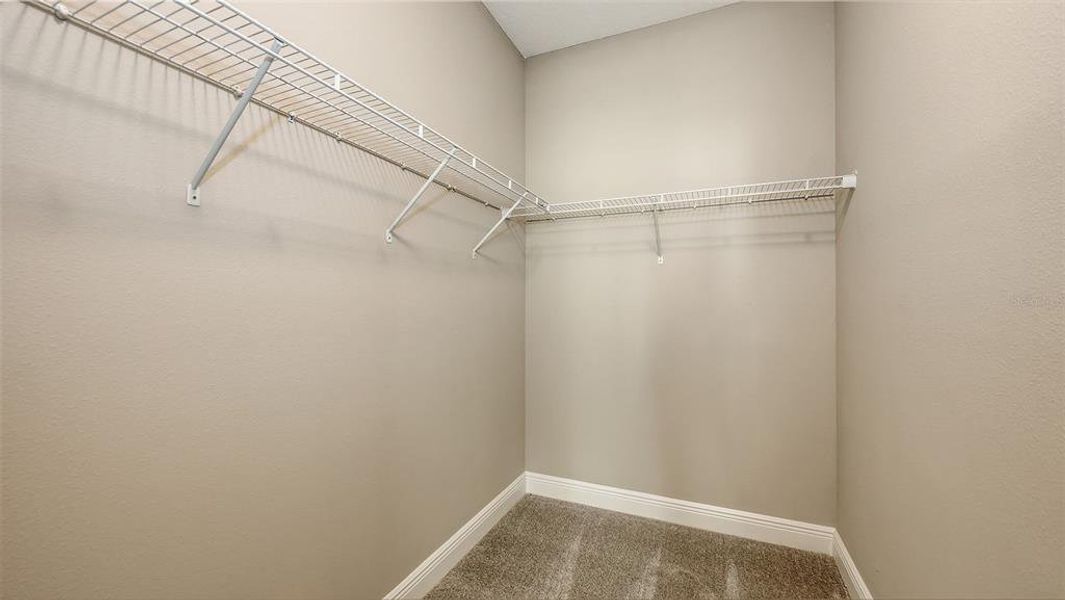 Image 41 of a home in Wildleaf.