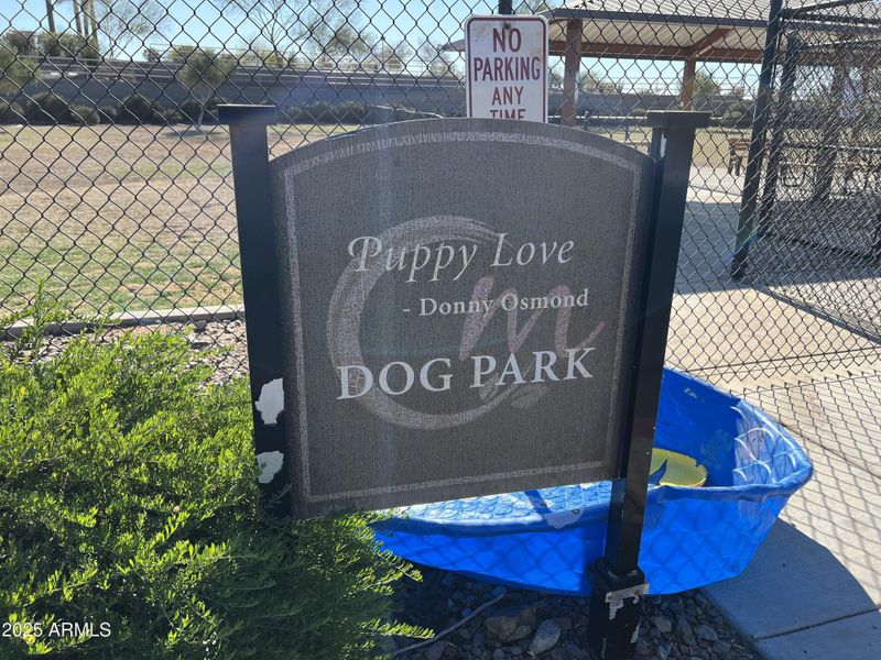 Community Dog Park