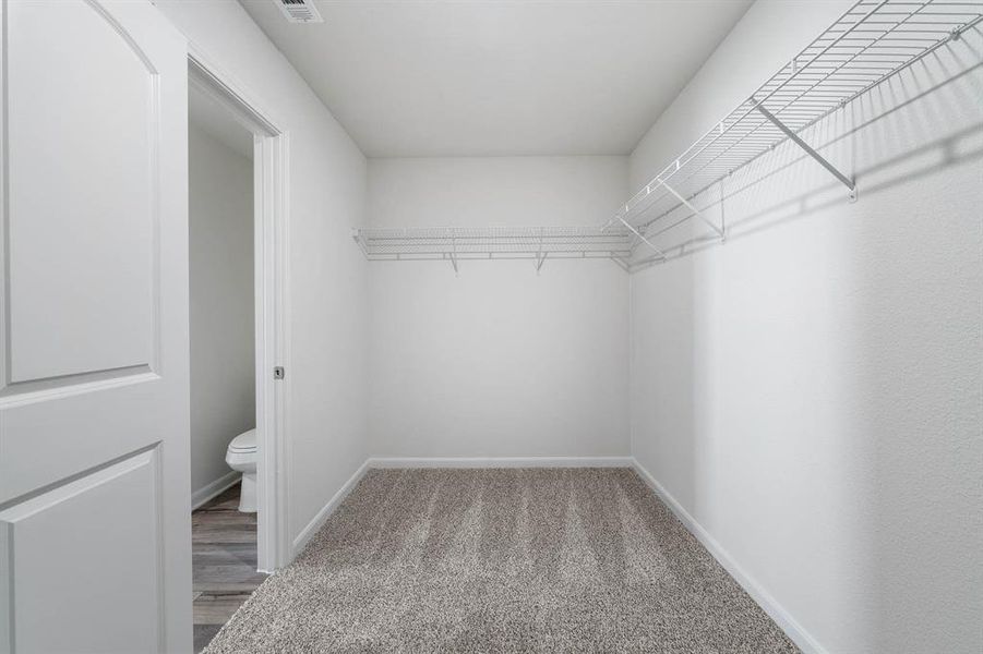 Walk in closet with wood-type flooring