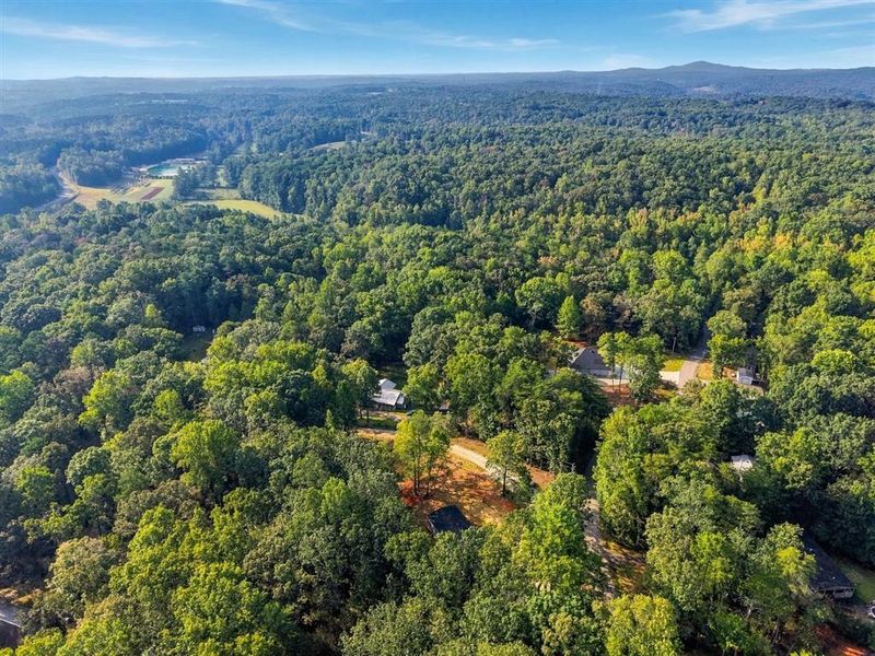Natural landscape and outdoor views near  in Dawsonville (Image 32).