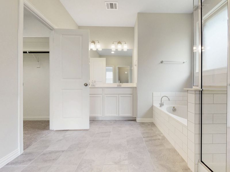 Owner's Bathroom