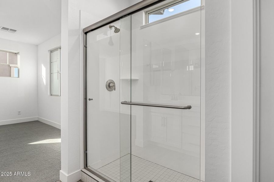 Primary Bathroom View B