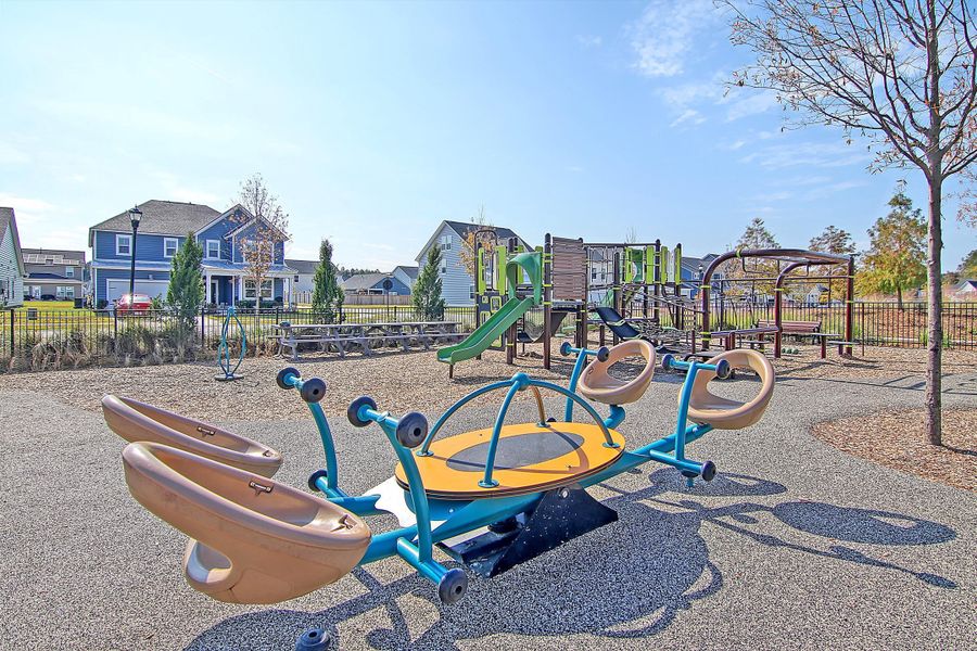 Community amenities in Heron's Walk at Summers Corner, Summerville (Image 60).