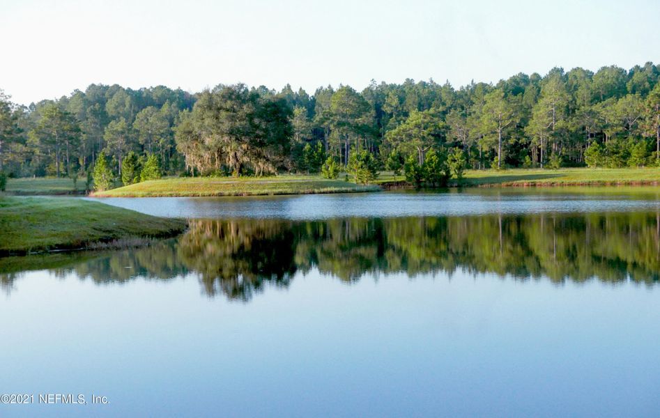 Natural landscape and outdoor views near TrailMark in St. Augustine (Image 23).