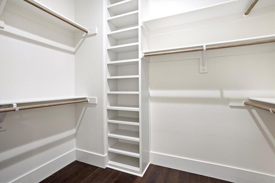 Spacious closet with dark wood-type flooring