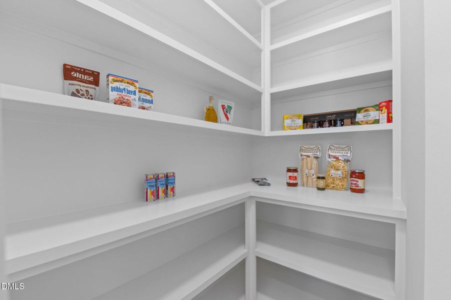 29-web-or-mls-DSC_2896 29-web-or-mls-DSC_2896