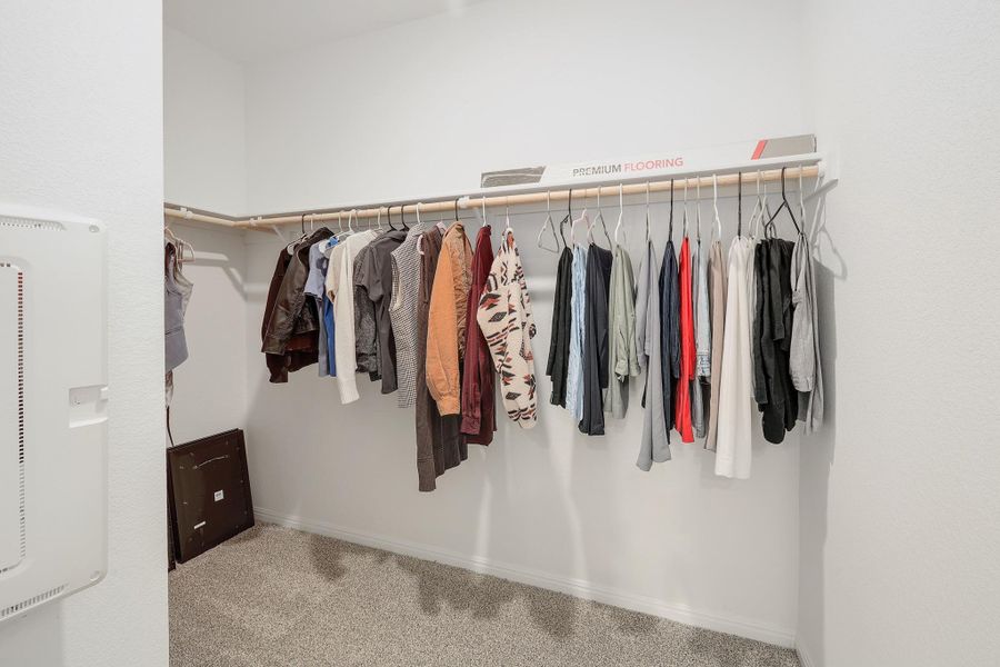 Walk-in closet featuring light gray carpeting and white walls Walk-in closet featuring light gray carpeting and white walls