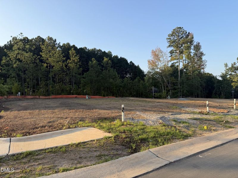 Lot 9 Homesite - 961 Steel Mill Ln Lot 9 Homesite - 961 Steel Mill Ln
